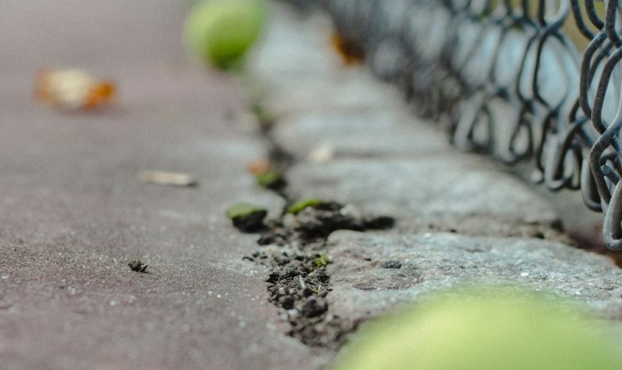 Merit King Güreş İstanbul: Başlık ve Giriş